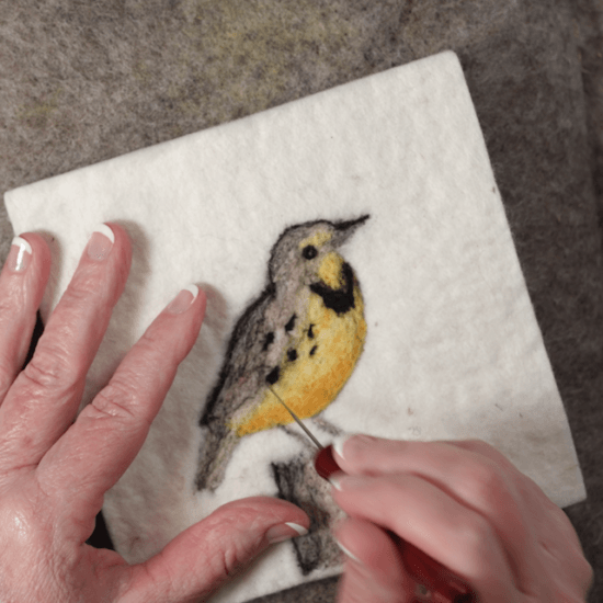 Felting Kit