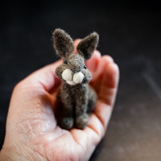 Felting Kit
