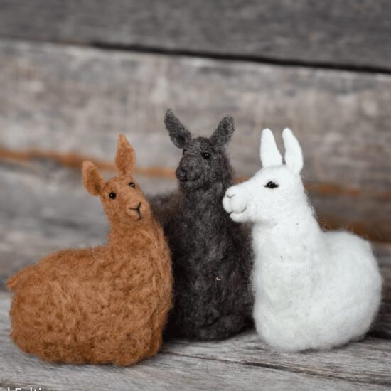 Felting Kit