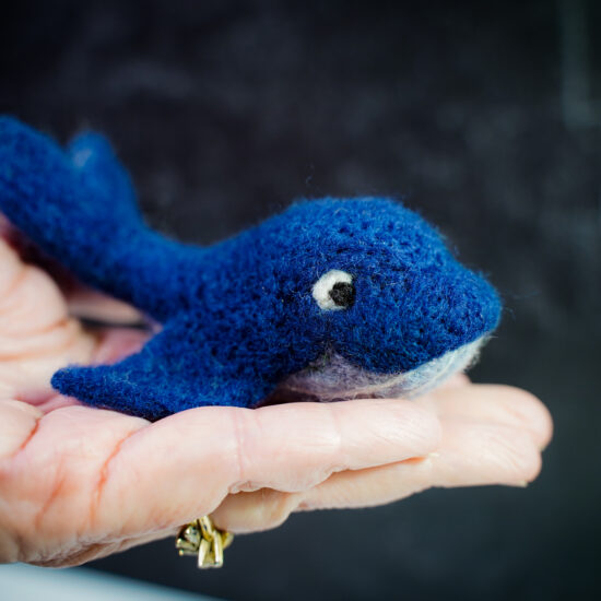 Felting Kit