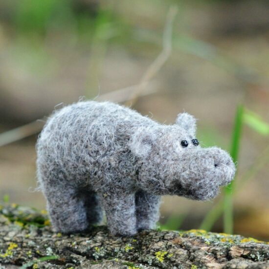 Felting Kit