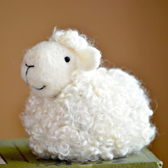 Felting Kit