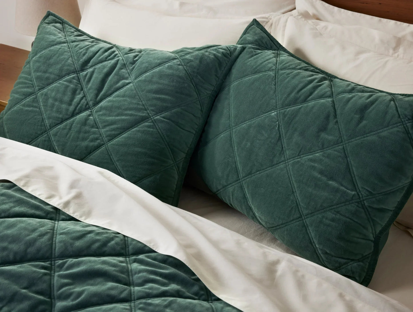 Velvet Organic Quilt