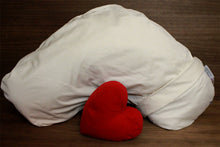 Load image into Gallery viewer, Side Dreamer Pillow