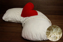 Load image into Gallery viewer, Side Dreamer Pillow