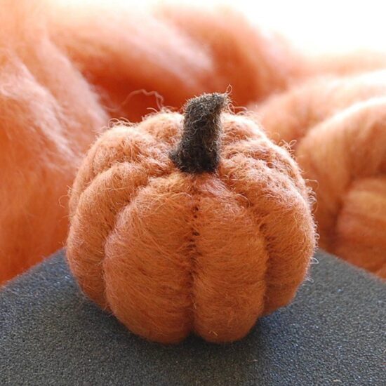 Felting Kit
