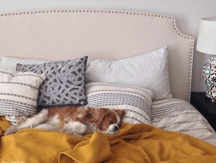 Organic Rippled Stripe Duvet Cover and Sham - Holy Lamb Organics